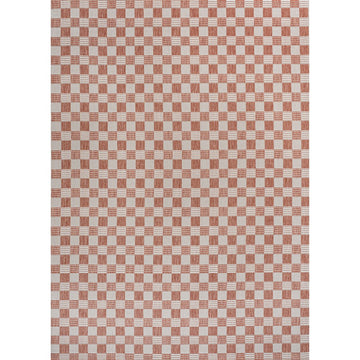 Aimee Traditional Cottage Checkerboard Indoor/Outdoor Area Rug